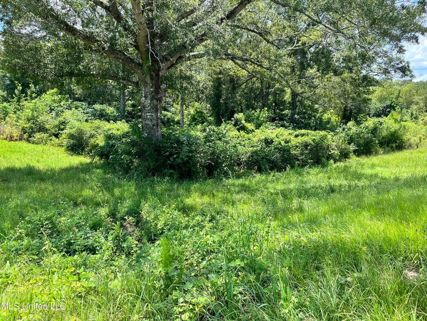 Corner Lot