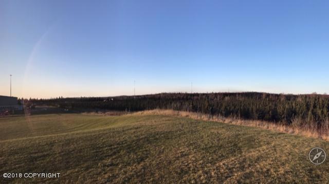 Undeveloped Lots