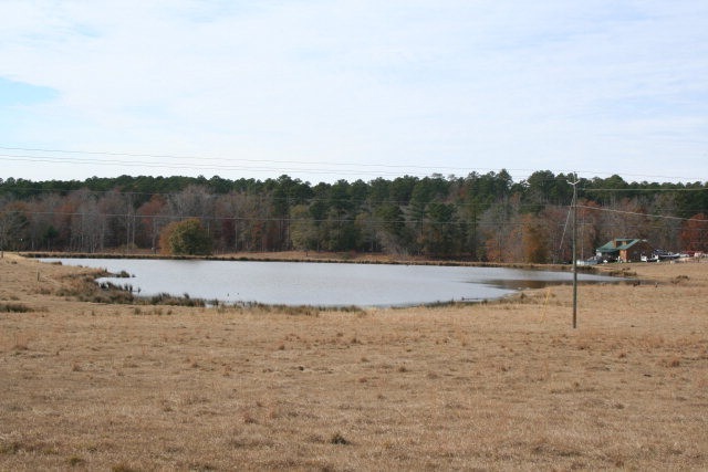 Main View