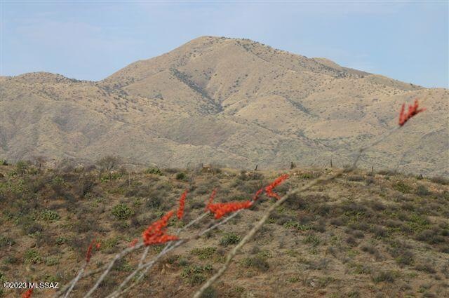 Sonoita Land Picture