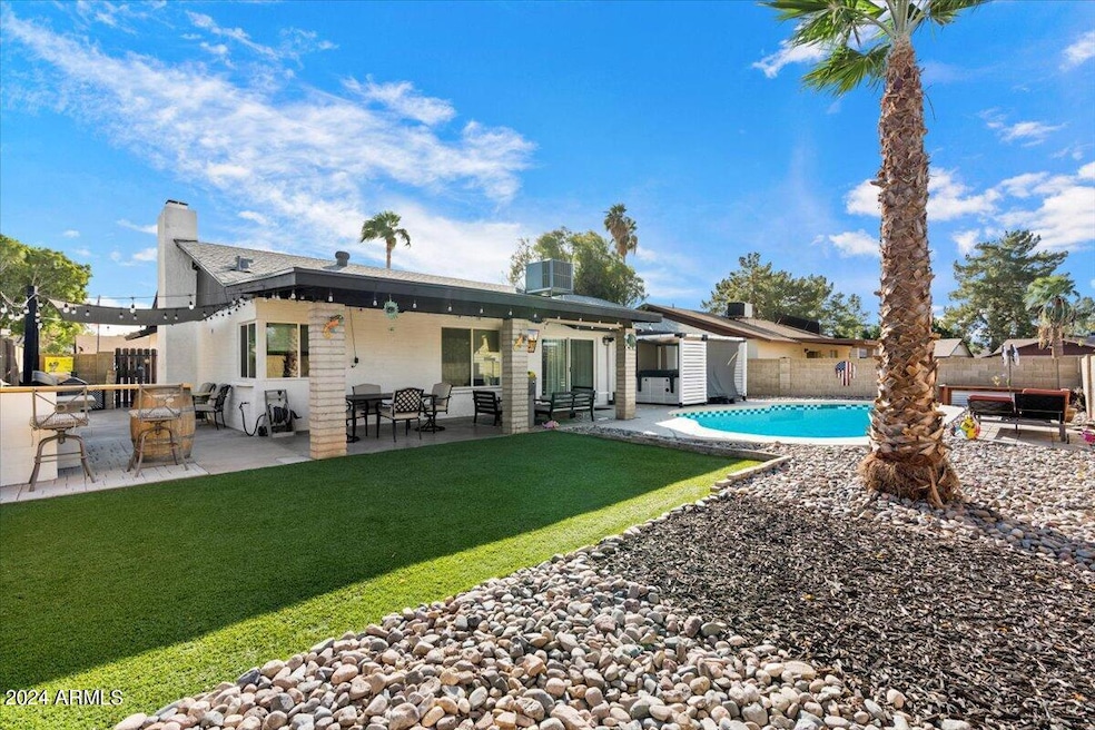 Full Backyard