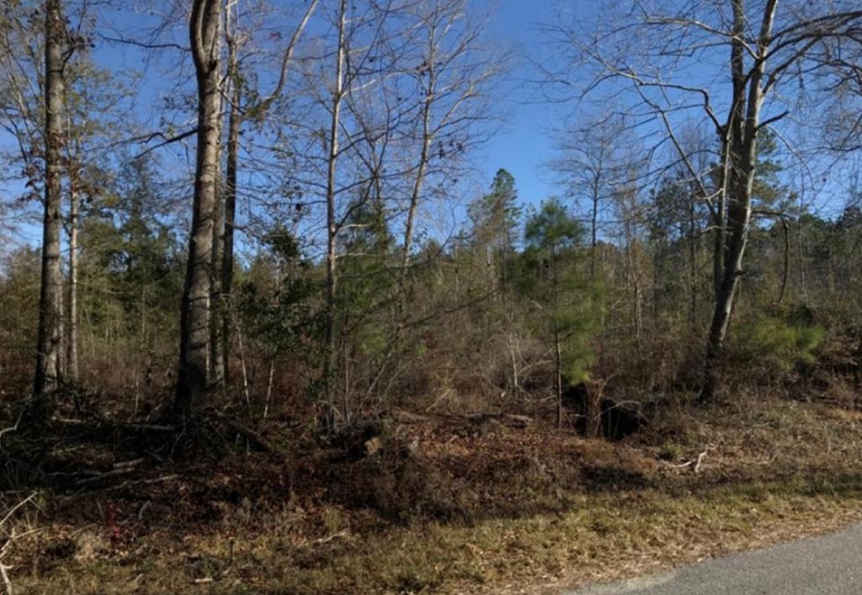 LOT 6 Scenic Route, Cordele, GA 31015 - photo 1
