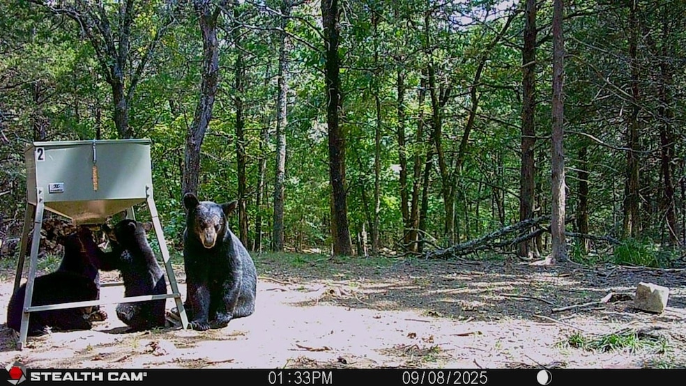 SW 1070 Ave, Higgins, OK 74531 - photo 1