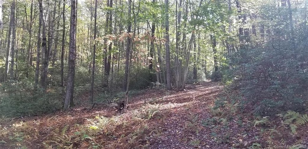 XO Rt 198, Woodstock, CT 06281 - photo 1