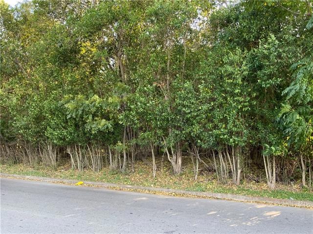 TBD S Mitchell St, San Marcos, TX 78666 - photo 1