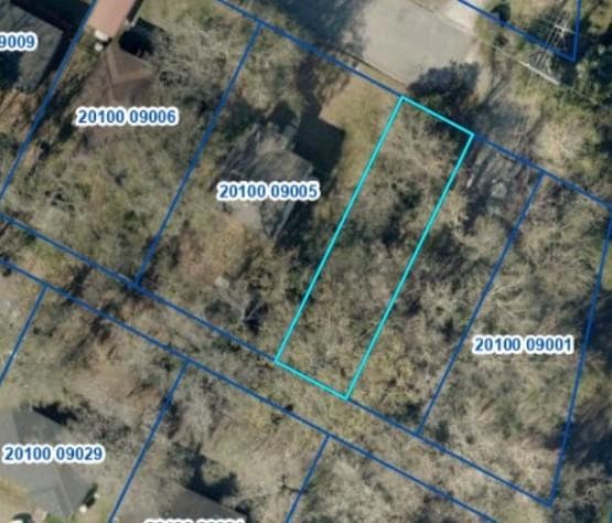 0 Coakley St unit 153953, Savannah, GA 31404 - photo 1