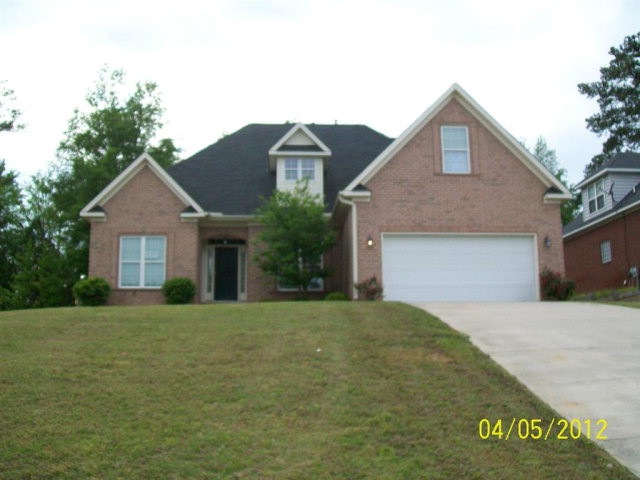 Main View