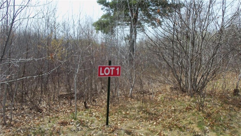 Lot 1 Minerva Dam Rd, Swiss, WI 54830 - photo 1