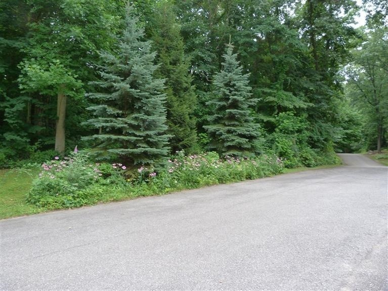 B E Murray Rd, Kankakee Township, IN 46350 - photo 1