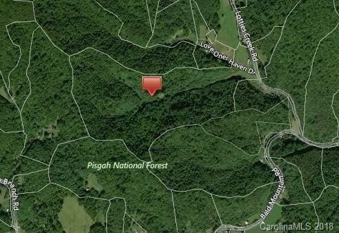 00000 Lotties Creek Rd, Burnsville, NC 28714 - photo 1