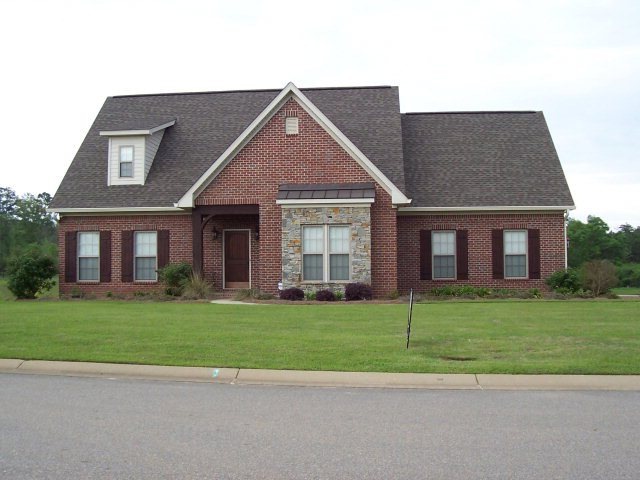 Main View