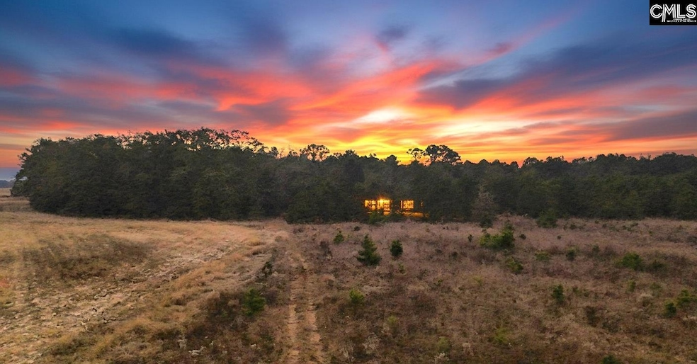 0 Athens Field Rd unit 622827, Swansea, SC 29160 - photo 1