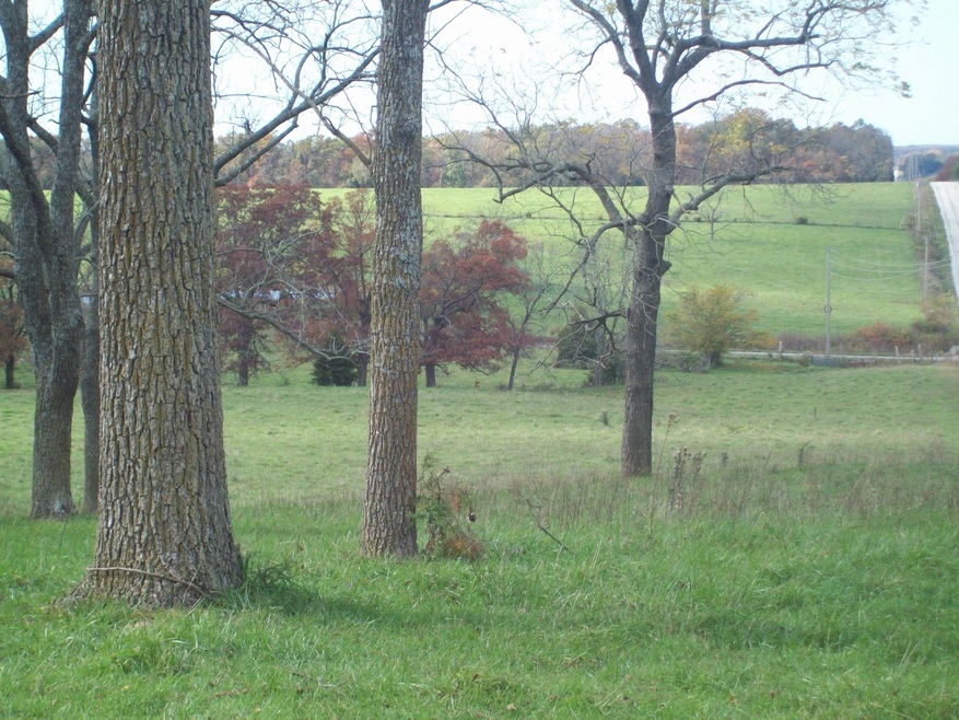 794 E 420th Rd, Bolivar, MO 65613 - photo 1