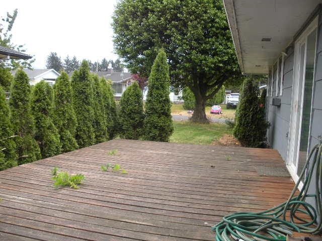 609 Meadow