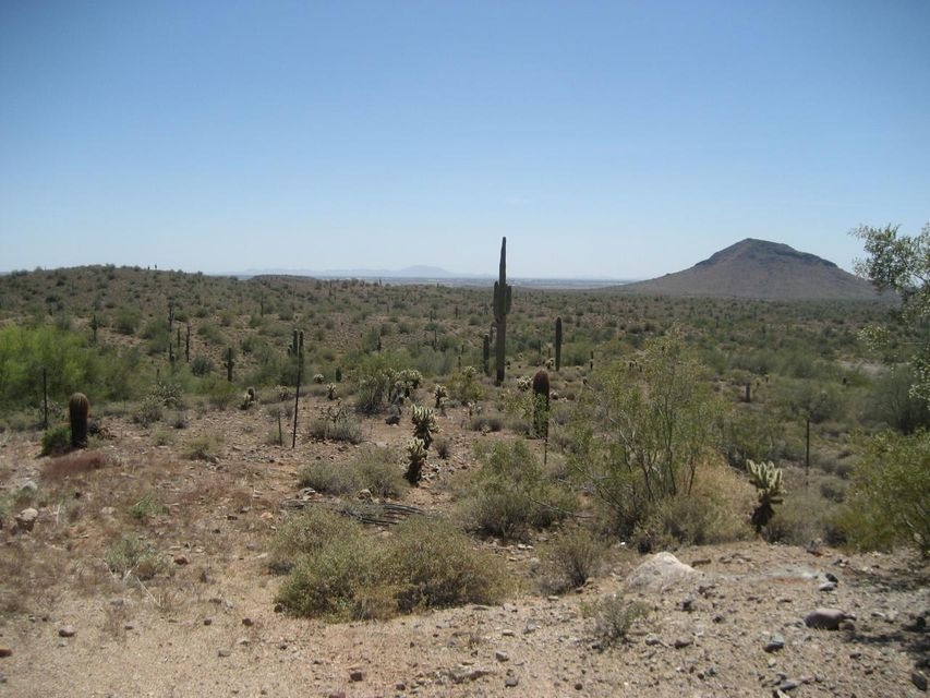 South view from lot