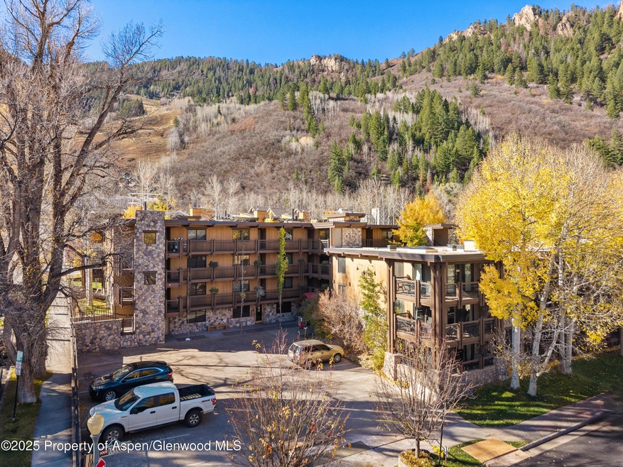 131 E Durant Ave unit 202, Aspen, CO 81611 - photo 1