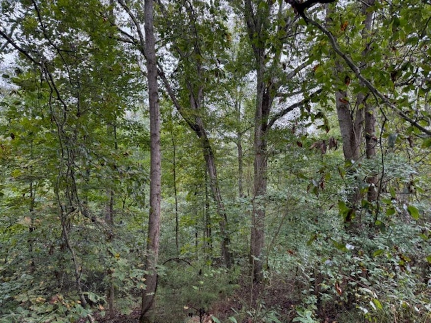 19.3 County Road 200, Danville, AL 35619 - photo 1