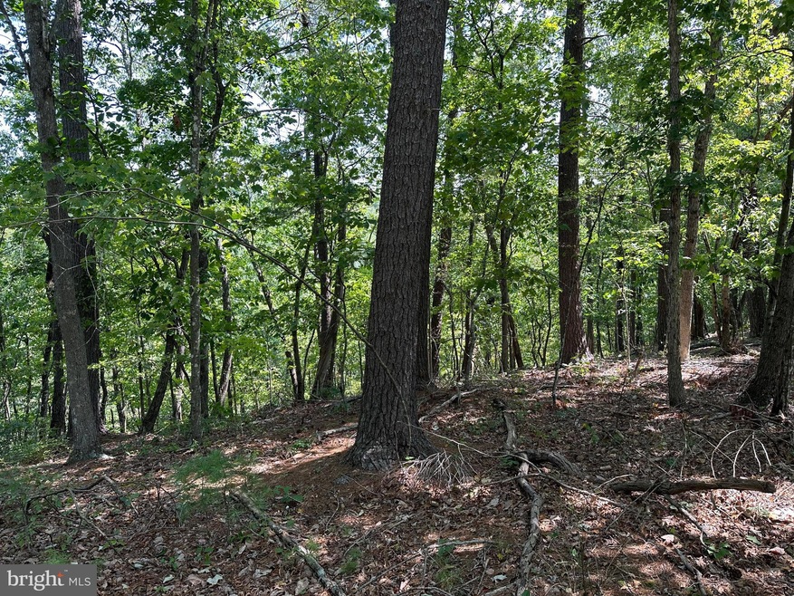 22 E Walls Ridge Rd, Basye, VA 22810 - photo 1