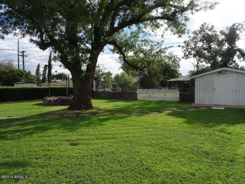 BACK YARD