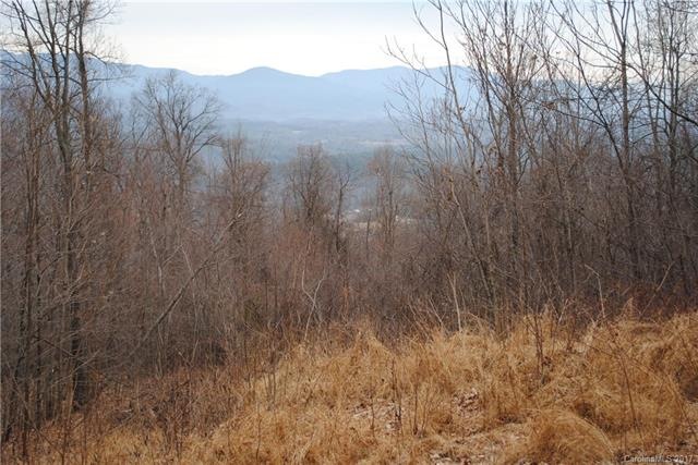 Winter view from the building pad.