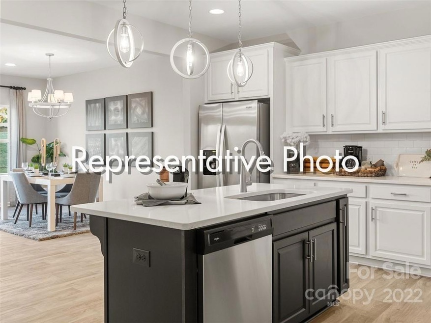13213 Gadwal Pintail Dr unit 191, Charlotte, NC 28262 - photo 1