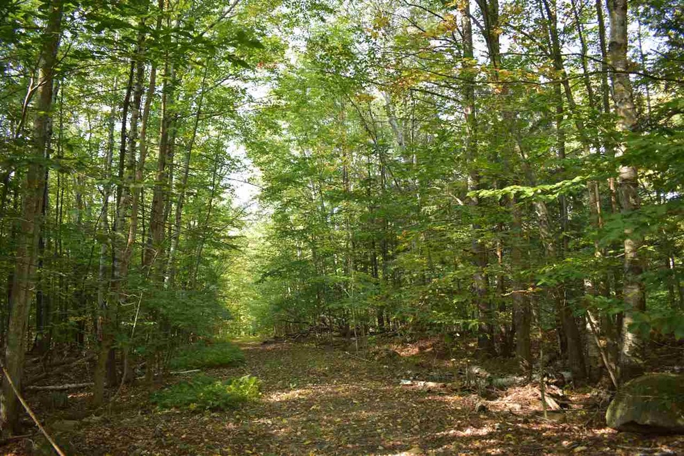 Map 33 Lot 68 Dillion Dr E, Strafford, NH 03884 - photo 1