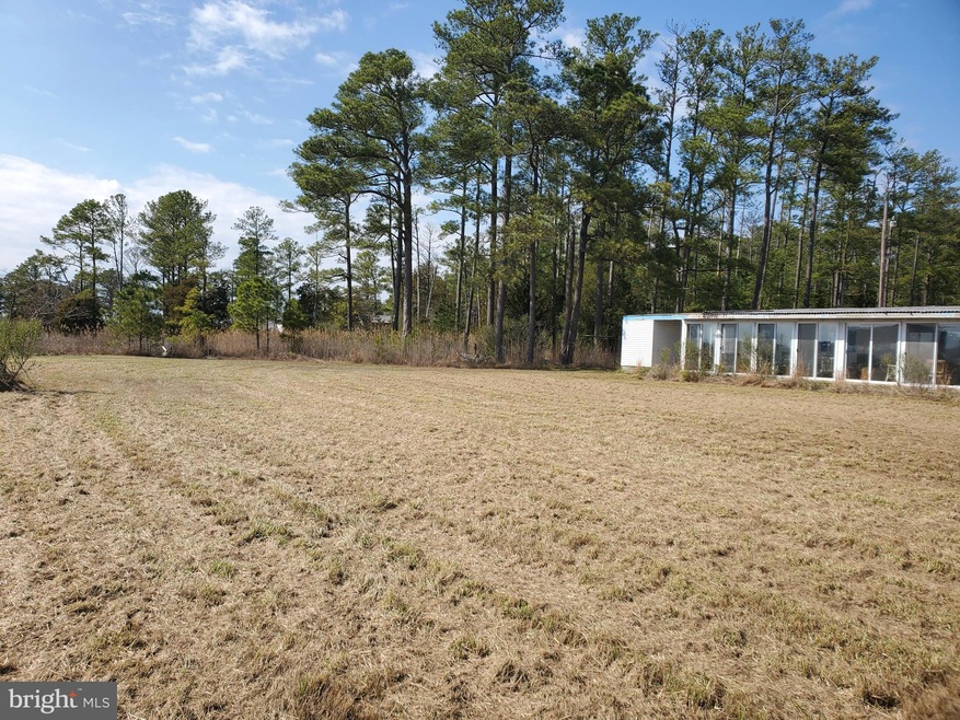 4908 David Greene Rd, Cambridge, MD 21613 - photo 1