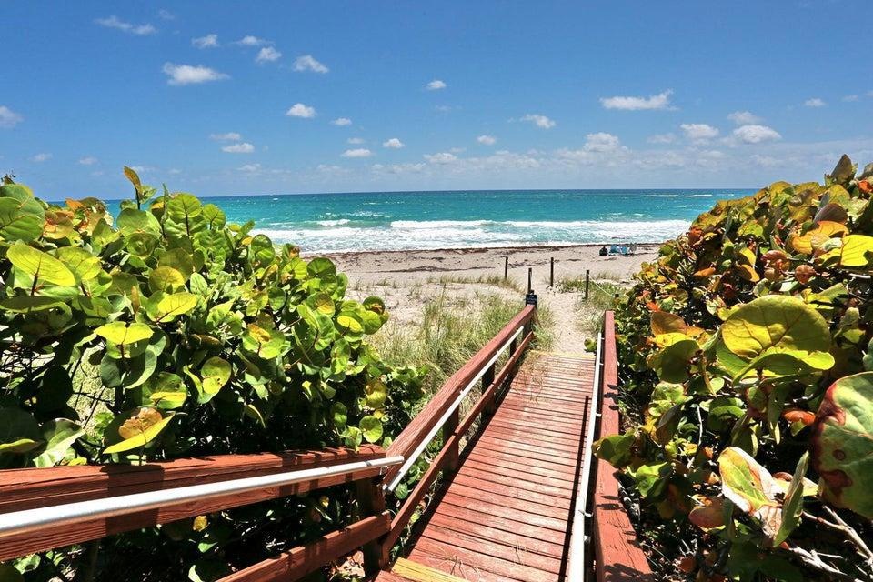 Ocean Trail Ocean