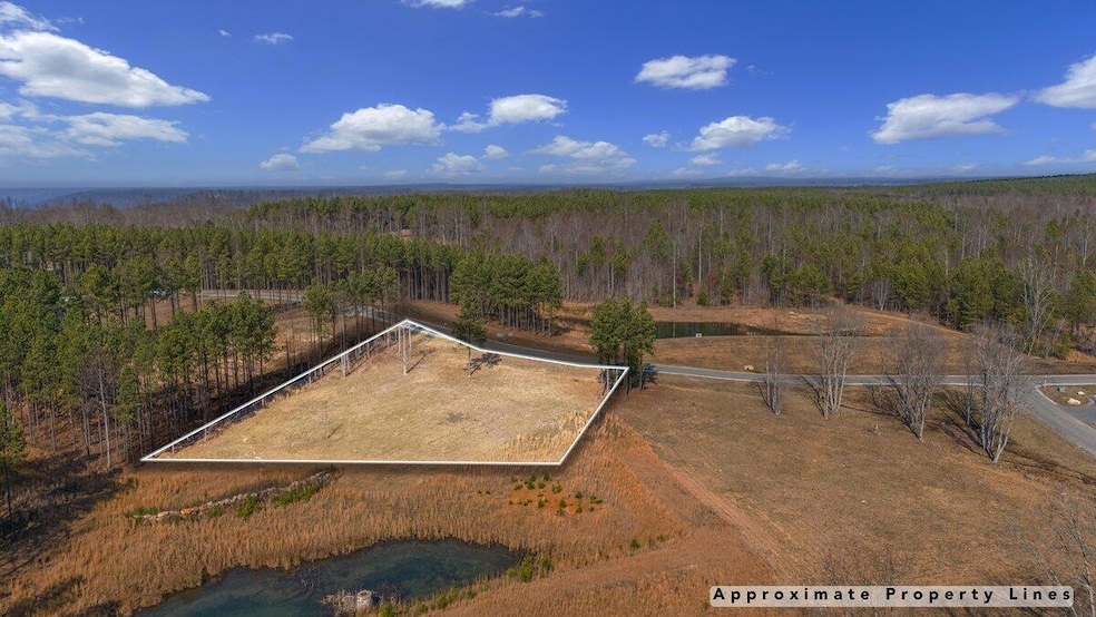 DJI_20250205114231_0181_D copy