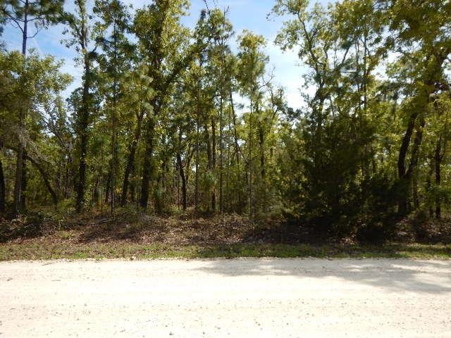 0 Turkey Oak unit 774761, Perry, FL 32348 - photo 1