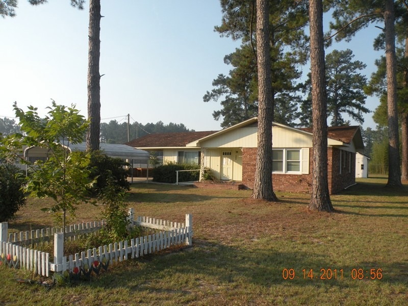Main View