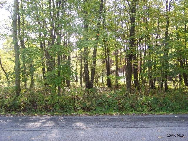 Main View