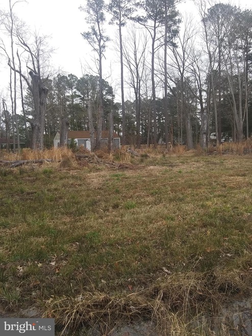 0 Lots 3 4 & 5 Mattox Ave unit VAWE117634, Colonial Beach, VA 22443 - photo 1