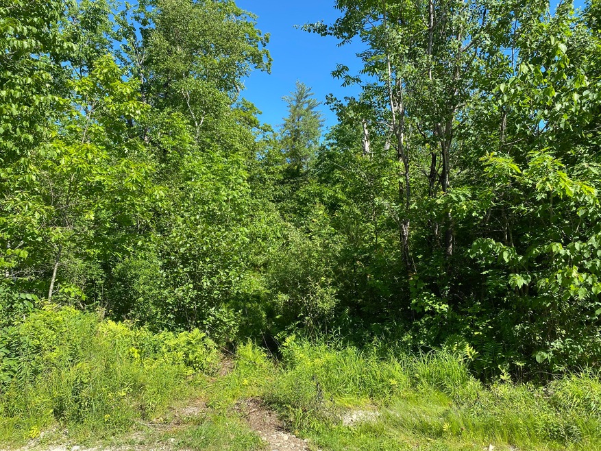 00 Cole, Cornish, ME 04020 - photo 1