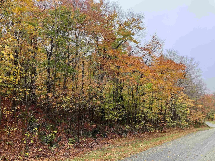 566 Upper Dam Rd, Wilmington, VT 05363 - photo 1