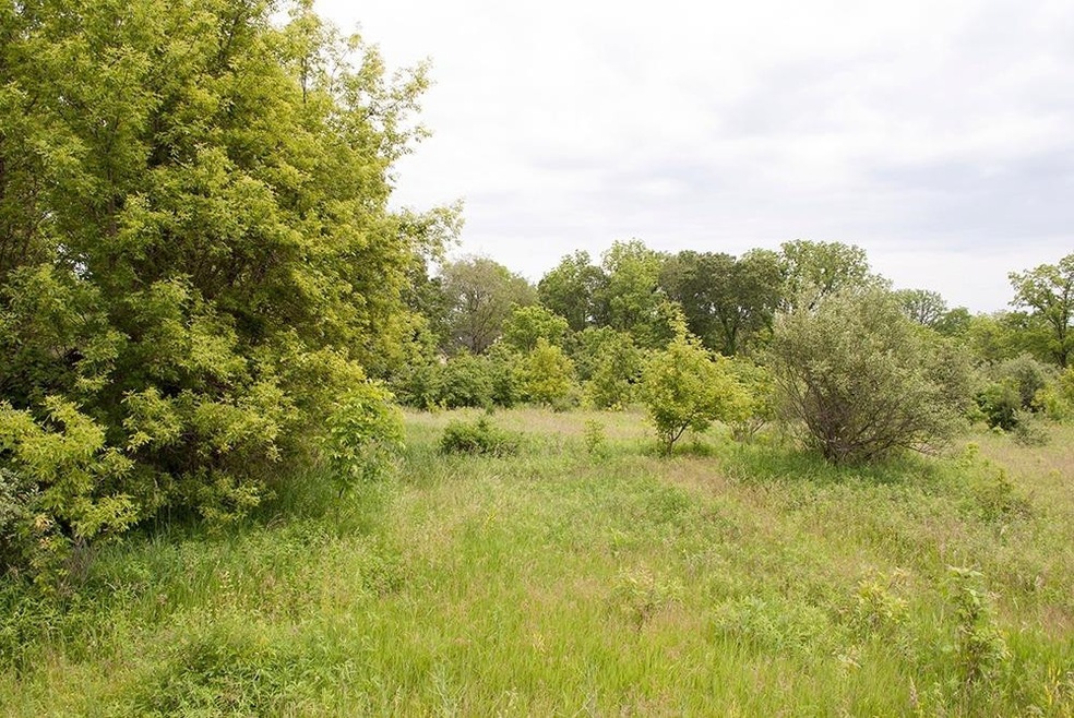 5894 Ray Knight Dr, Dexter, MI 48130 - photo 1