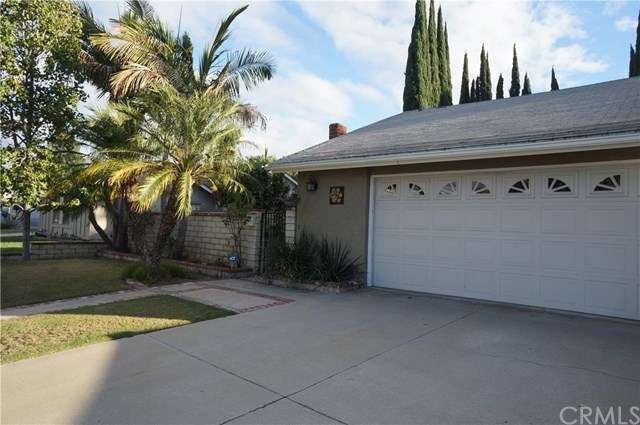 Lush Tropical Landscape