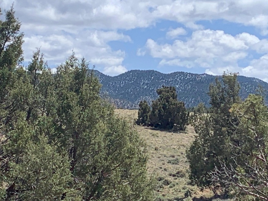 Paunsaugunt Cliffs
