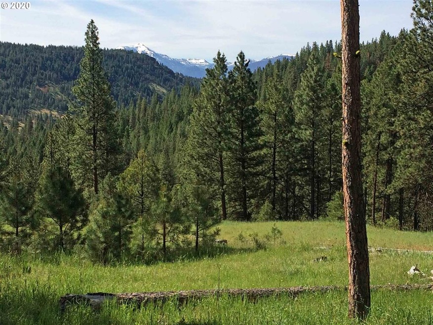 0 Malhuer Home unit 20598619, Prairie City, OR 97869 - photo 1