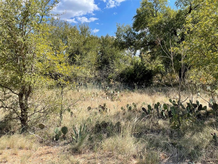 00 Grandview Dr, Lake Brownwood, TX 76801 - photo 1