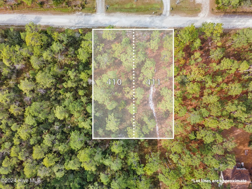 482 & 490 Wood Haven Rd, Boiling Spring Lakes, NC 28461 - photo 1