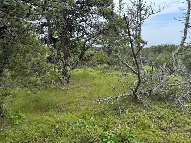 6 Long Nook Ln, Truro, MA 02652 - photo 1
