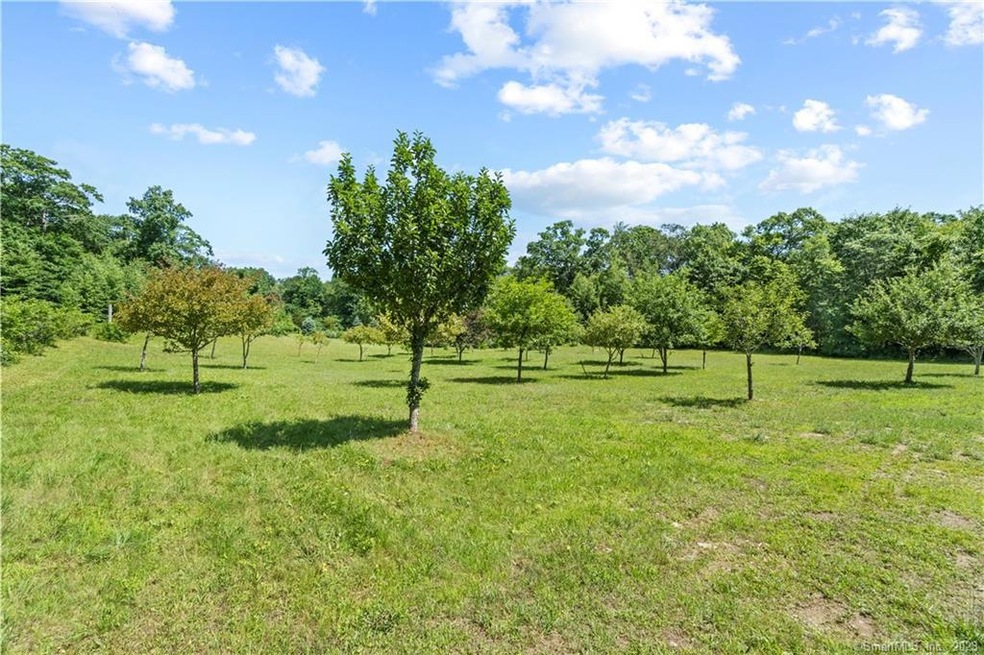 Amazing Orchard