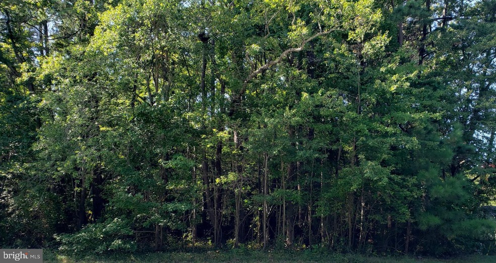 0 Unknown unit MDSM176734, Leonardtown, MD 20650 - photo 1