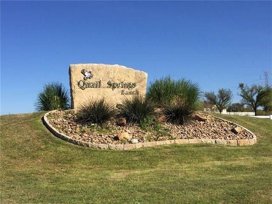 TBD Goldfinch Ln, Weatherford, TX 76088 - photo 1