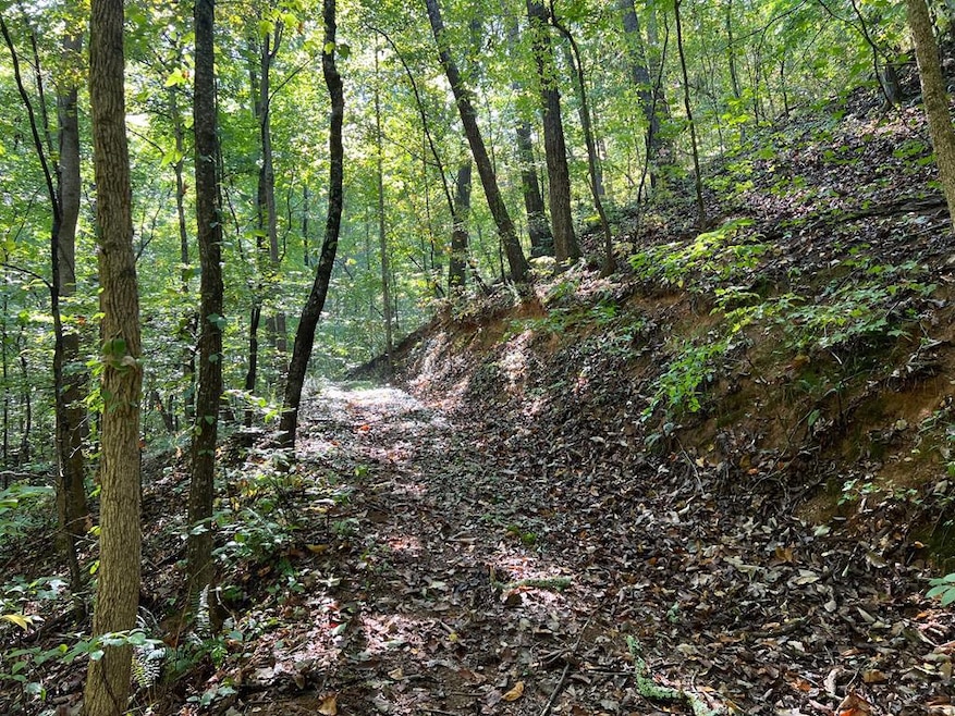 893 Newman Ct, Ranger, GA 30734 - photo 1