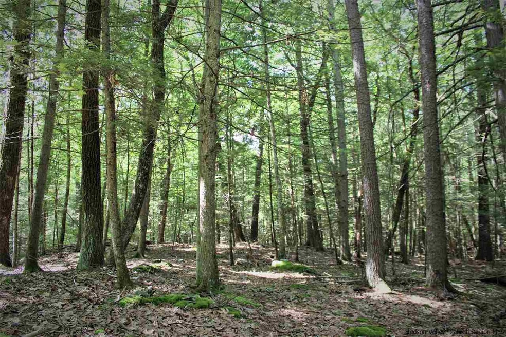 TBD Bone Hollow Rd, Accord, NY 12404 - photo 1