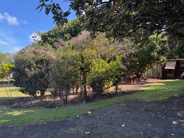 2501 Kilauea Ave, Hilo, HI 96720 - photo 1