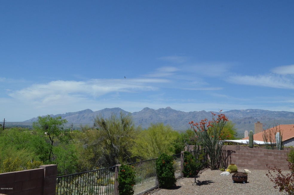 Panoramic Mountain View