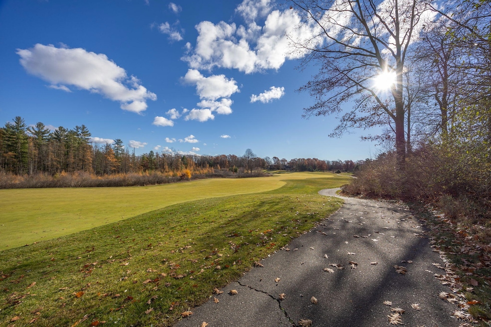 6054 Dublin Dr, Canadian Lakes, MI 49346 - photo 1